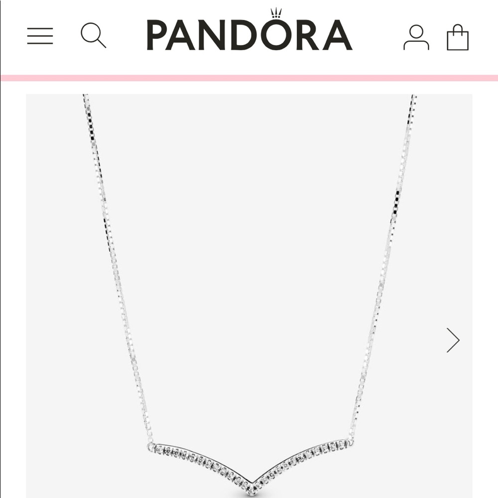 Pandora Wish Bone Necklace